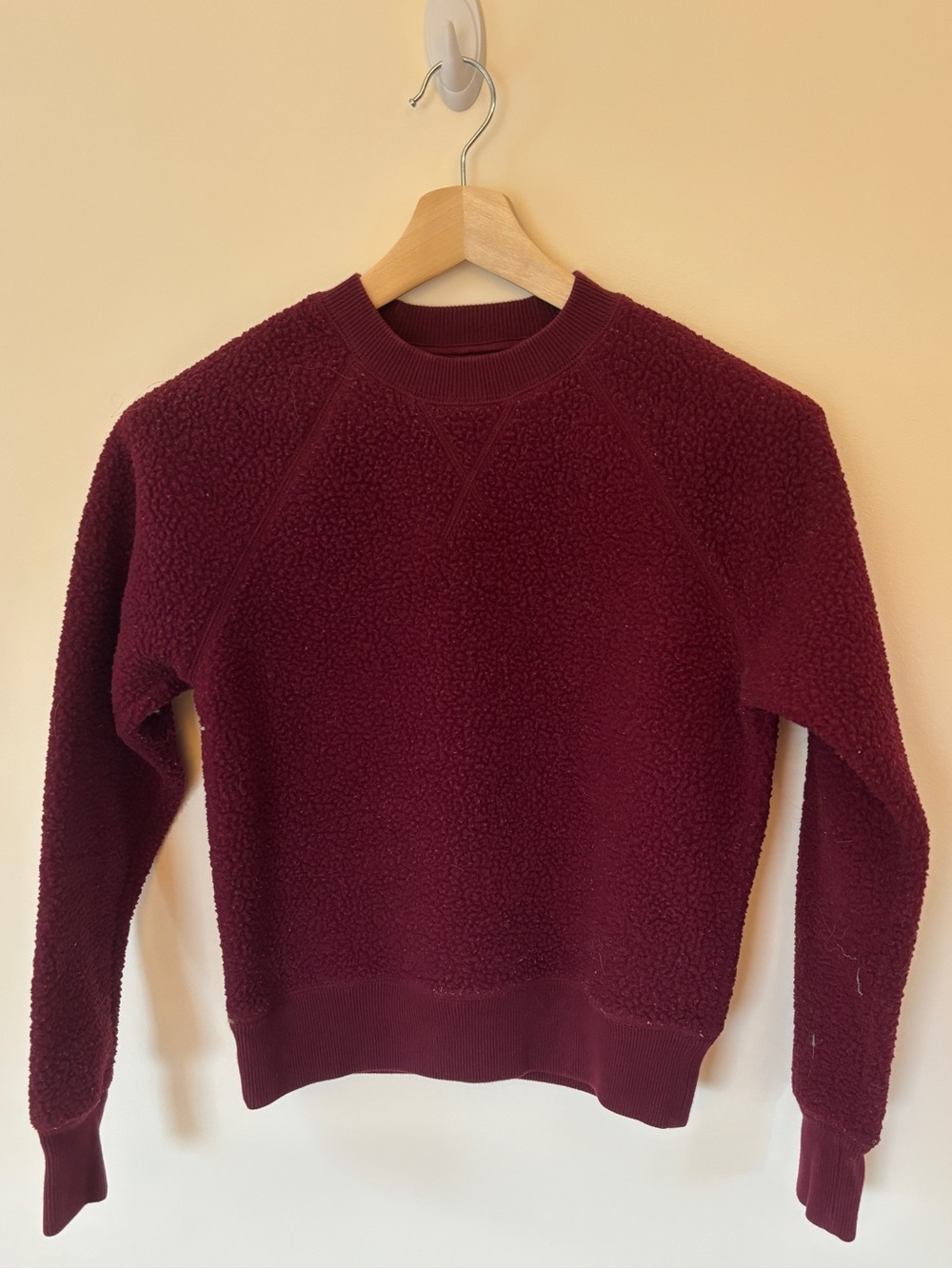 Everlane Burgundy Sherpa Crewneck Sweater
